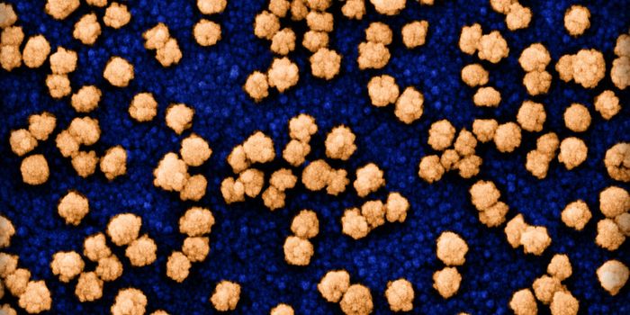 SARS-CoV-2 Can Reprogram Cells to Suppress Immunity