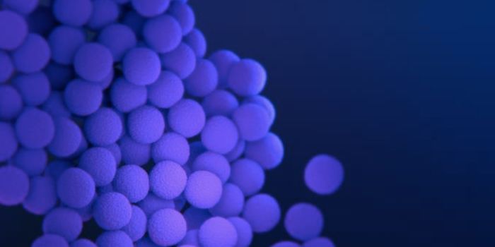 Good Bacteria Fights Bad Bacteria in a Clinical Trial