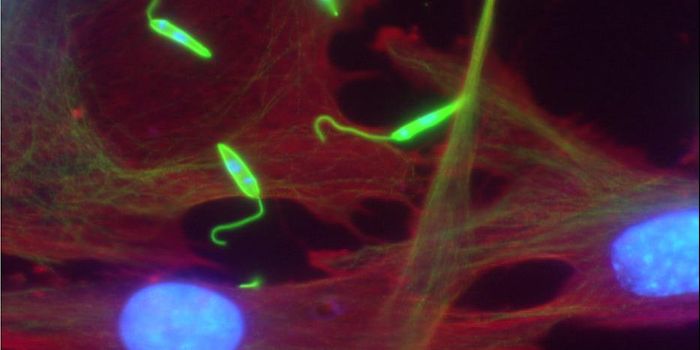 New Pathway of 'Microptosis' to Attack Parasitic Infections