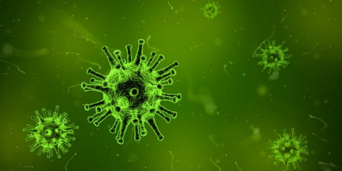 Food Additive Alters Gut Bacteria, Promotes Colorectal Cancer