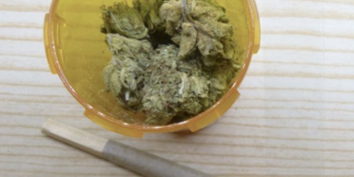 Cannabis is Safer than Opioids for the Elderly