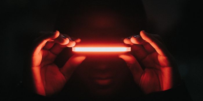 A Non-Invasive Look at Fat Distribution in the Liver