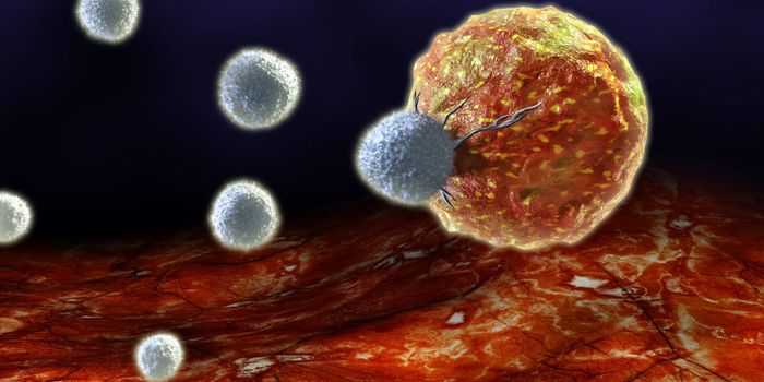 "Hide and Seek" Between Cancer and Immune Cells