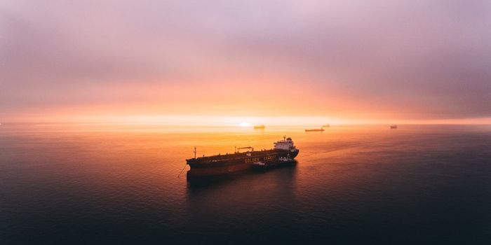 Earliest known Mariner's Astrolabe research