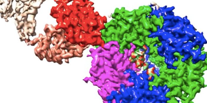 For the First Time, Microscopy Catches Antibodies Attacking a Receptor