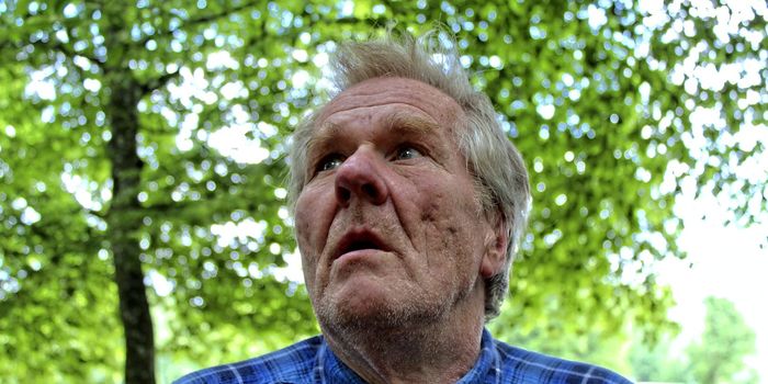 Alzheimer's Disease Discovery Could Lead to New Treatments