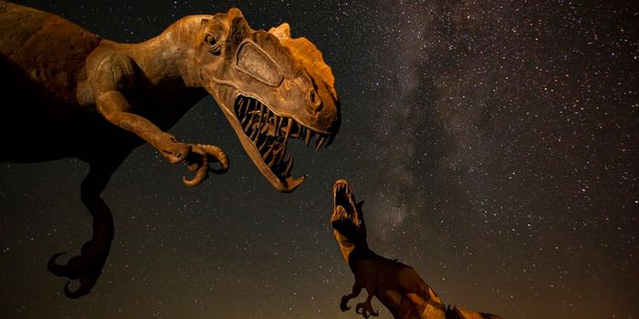 Can Math Determine The Sex of a Dinosaur?