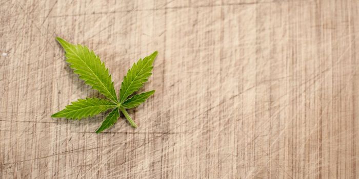 Can Cannabis be Used to Treat Autism?