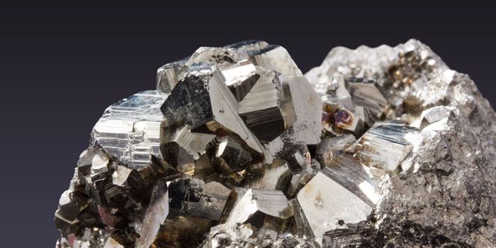 Drug Equipped with Iron Sensor Halts Cancer Tumor Growth