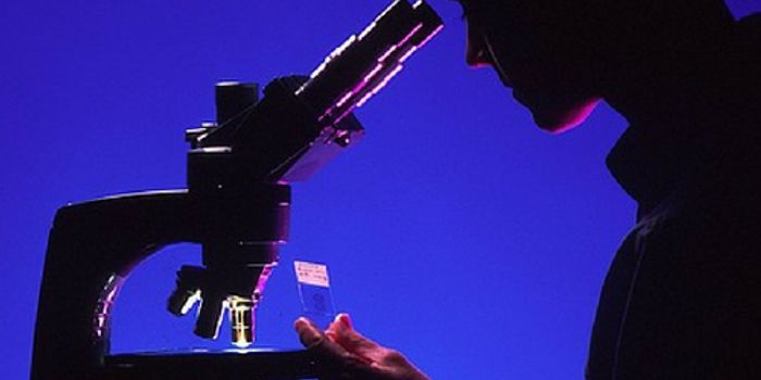 More Research With Lab-Grown Organoids