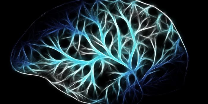 Deep Nerve Stimulation Lowers Blood Pressure