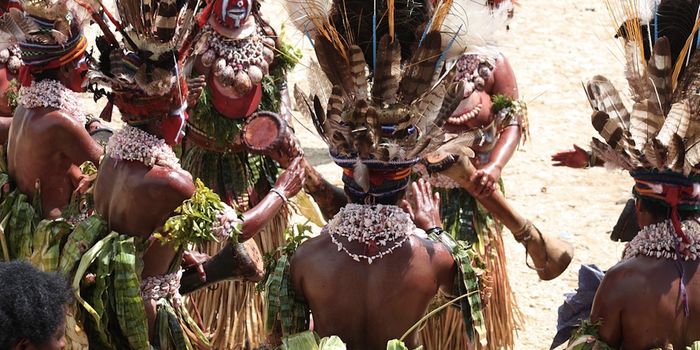 Denisovan DNA Influences the Immune System of Oceanian People