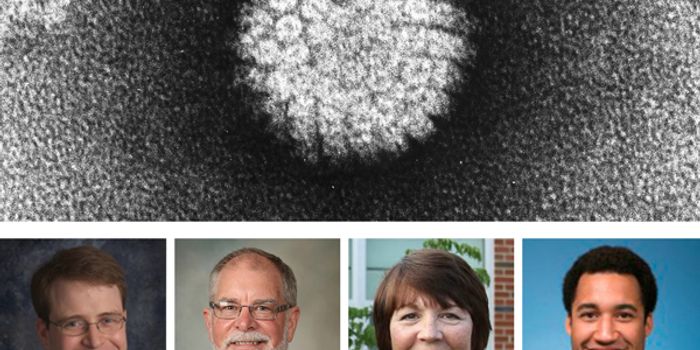 New Year Brings Overhaul of CPT Test Codes for HPV: Trio of new codes differentiate HPV genotypes by cancer risk 