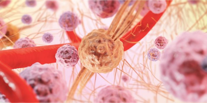 Germ Cells Burrow Like Bulldozers