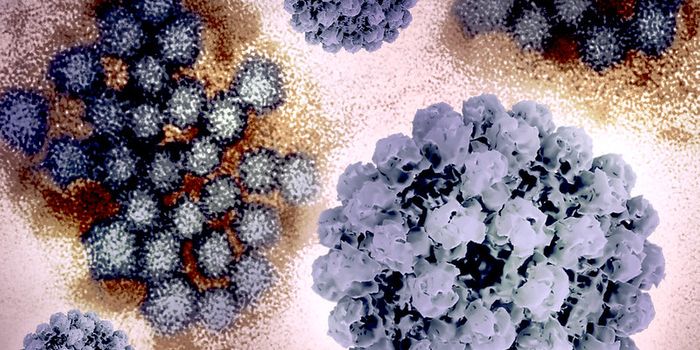 Norovirus Cases are Surging in the US