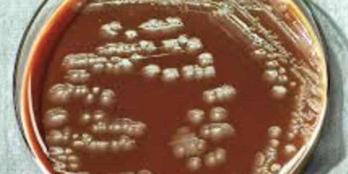 Finding Sleeper Cells That Evade Drug Treatment