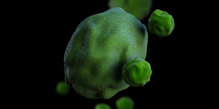 Chlamydiae Bacteria are Found Deep in the Arctic Ocean