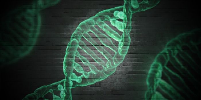 Cancer Hoodwinks the Immune System into Helping it Survive