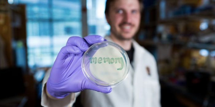 Engineering Microbes for Potential use in Diagnostics