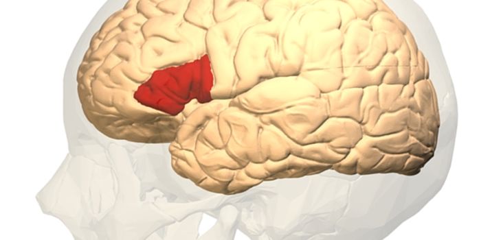 The Science of Stuttering