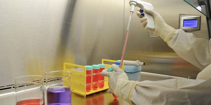 New Insights Into the Mechanisms of Rett Syndrome