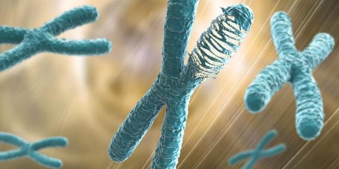 'Chromosome Shattering' is Common Across Cancer Types