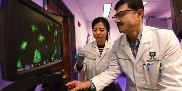 Battling the Cancer Takeover of Immune Cells