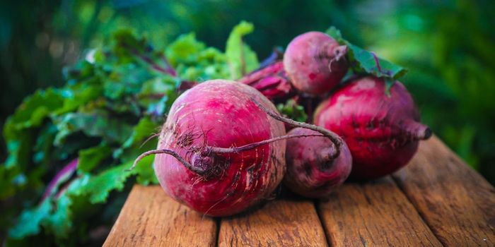 Beetroot Peptide Shows Promise in Treating Inflammatory Diseases