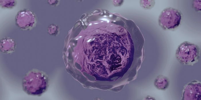 Scientists Learn More About Disease-Related Airway Cells