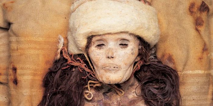 Unraveling the History of the Tarim Basin Mummies