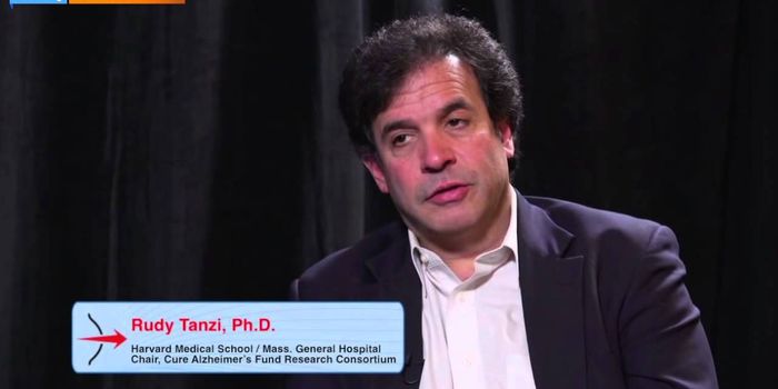 Scientists Replicate Alzheimer's In Petri Dish