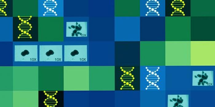 Uncovering HIV Hiding Spots in the Body