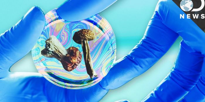 The Case for Legalizing LSD