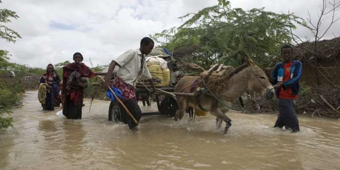 Will there really be 2 billion climate refugees by 2100?