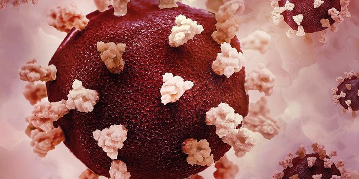 Understanding How Viruses Can Lead to Neurological Dysfunction