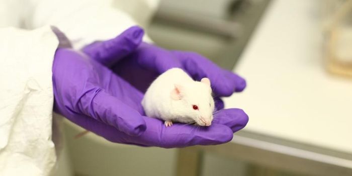 Hypertensive Drug Could Treat An Array of Neurodegenerative Diseases