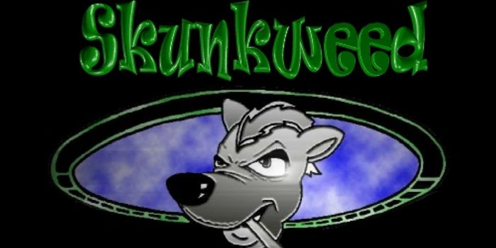 High Potency Pot and Your Brain