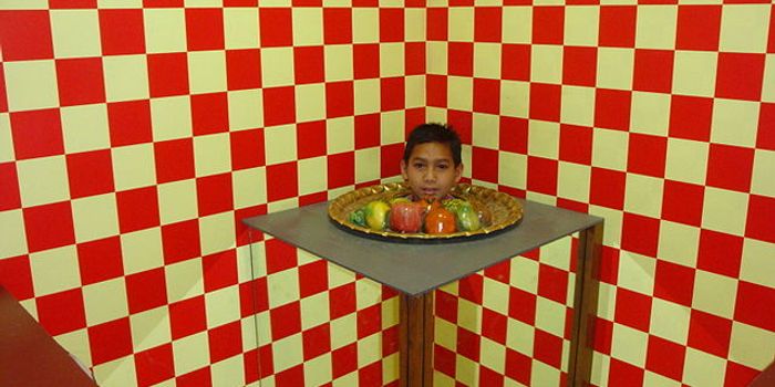 How Illusions Fool The Brain