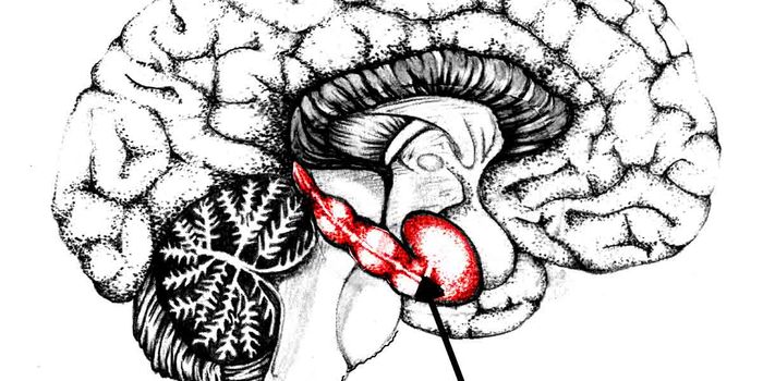 Researchers Create Method for Measuring Early Sign of Alzheimer's