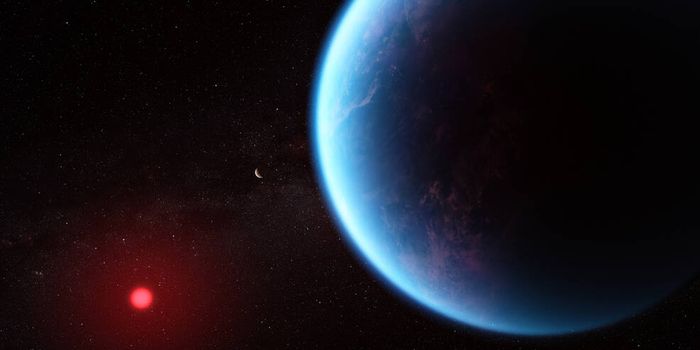 Hubble and Webb Telescopes Shed Light on K2-18 b's Habitable-Zone Atmosphere