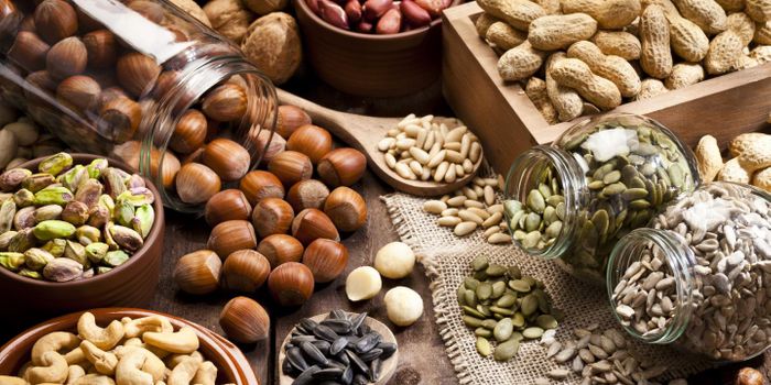 Why is plant protein better for your heart than meat protein?