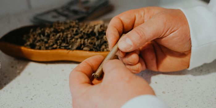 Study Finds Roughly 93% of Smokable Hemp Contains THC