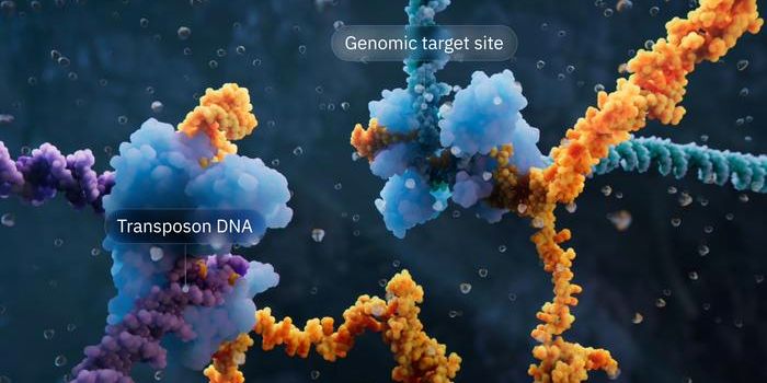 A New Kind of Genome Design Has Been Created