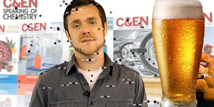 Fruit Flies Can Improve the Taste of Beer