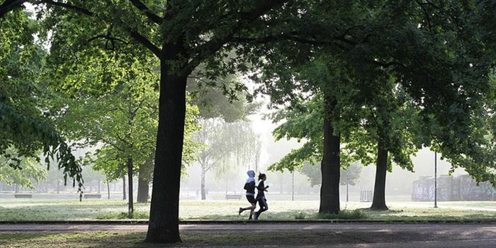 Time-Restricted Eating and High-Intensity Exercise Work Together to Improve Health