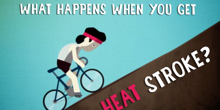 What Does a Heat Stroke Do to Your Brain?