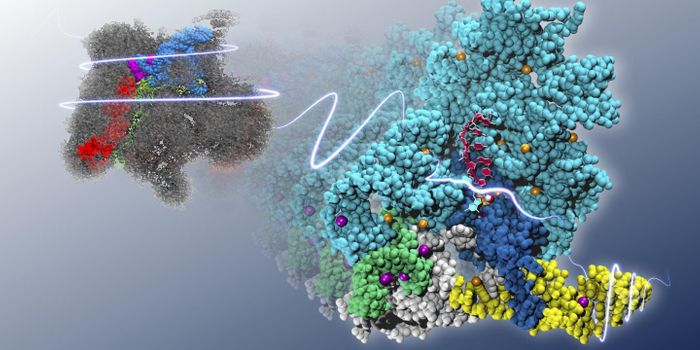 The Human Splicesome Through the Lense of Group II Introns