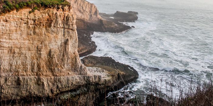 Tiny Fossils Reveal California's Ocean Acidification History