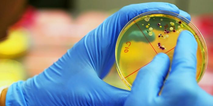 Real-Life Experiment Shows People Have Disgusting Hands