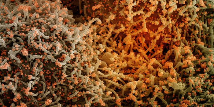 Extreme Evolution - WHO Now Tracking Over 300 Omicron Subvariants